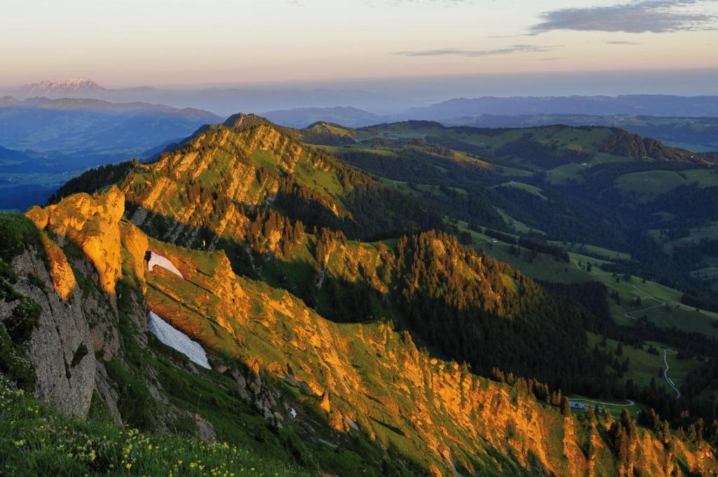 Alpin & Wellness Resort Hotel Ludwig Royal Oberstaufen Extérieur photo